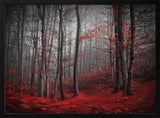 Misty Red Forest