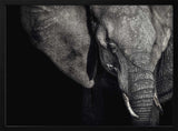 Dark Elephant Portrait