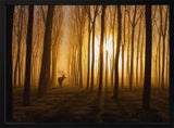 Golden Forest Stag