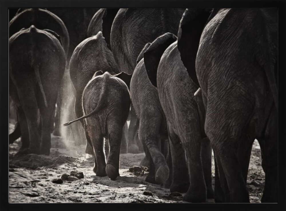 Dusty Elephant Family Art Print UK — Dark Moody Dark Wall Art — Nursery — Wall It All Prints