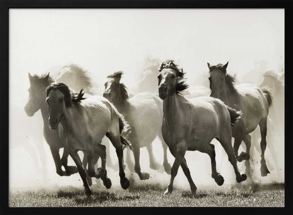 Galloping Wild Horses Art Print UK — Animal Vibrant Wall Art — Living Room — Wall It All Prints