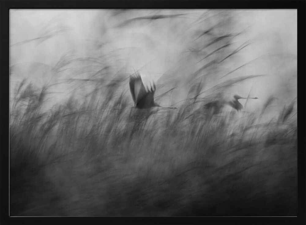 Misty Flight Through Reeds Art Print UK — Abstract Calm Wall Art — Living Room — Wall It All Prints