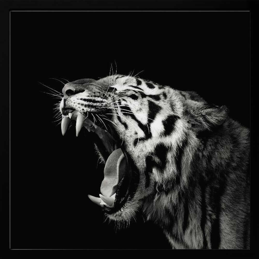 Roaring Tiger Portrait Art Print UK — Dark Moody Dark Wall Art — Living Room — Wall It All Prints