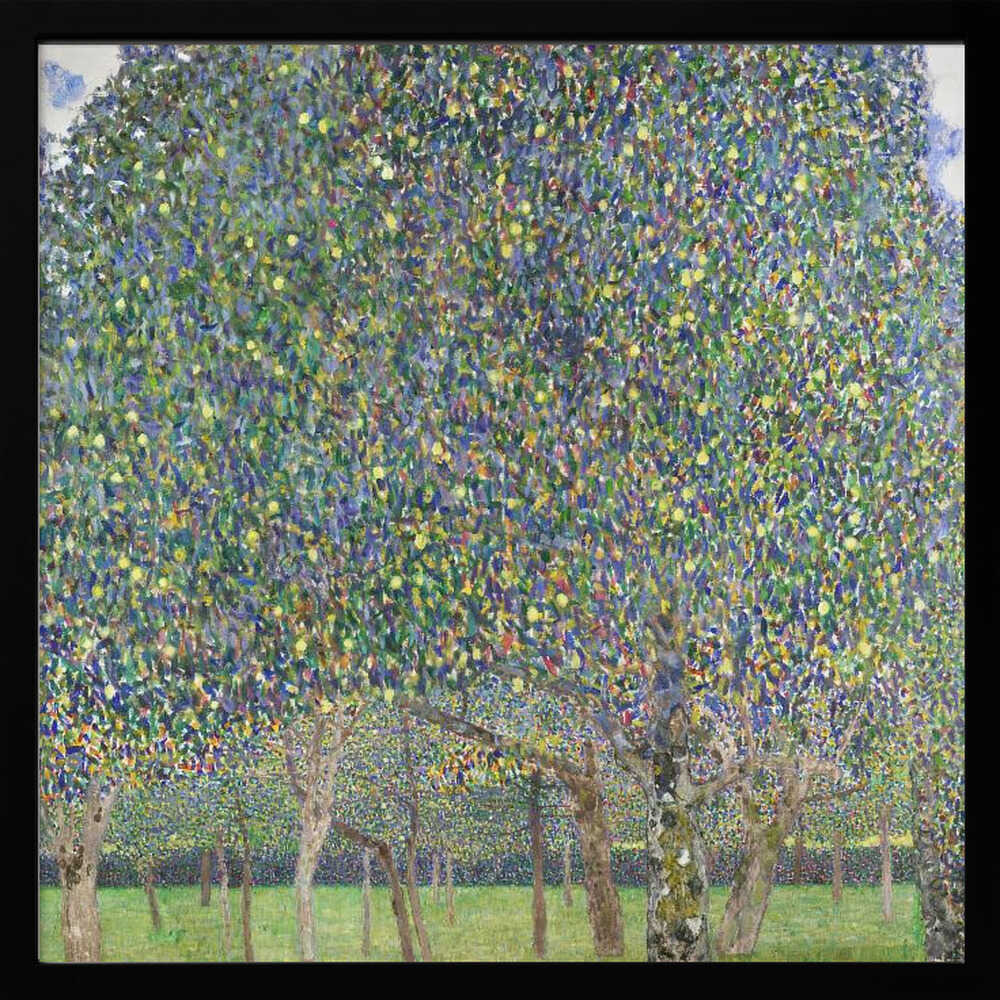 Pear Tree (1903)