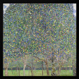 Pear Tree (1903)