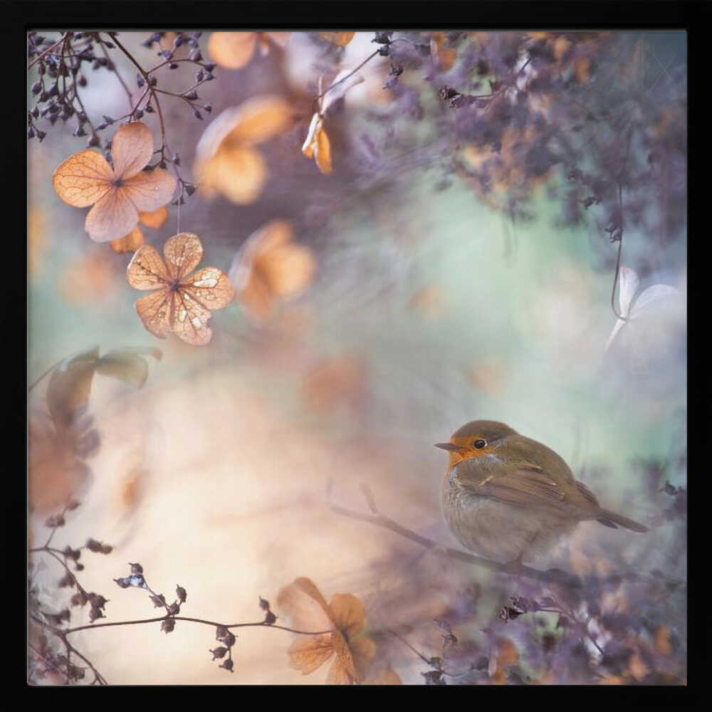 Dreamy Autumn Robin Art Print UK — Botanical Calm Wall Art — Bedroom — Wall It All Prints