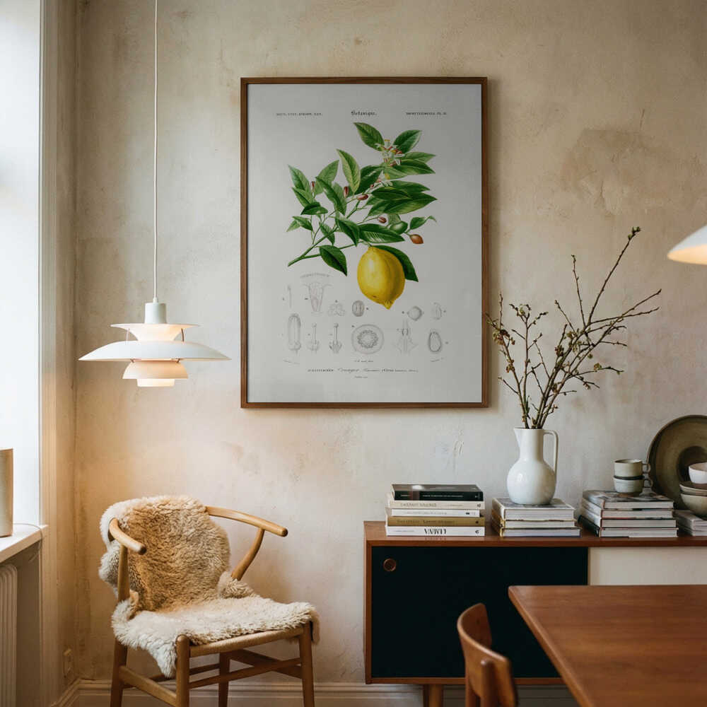 Lemon (citrus Limonium) Art Print UK — Botanical Vibrant Wall Art — Kitchen — Wall It All Prints
