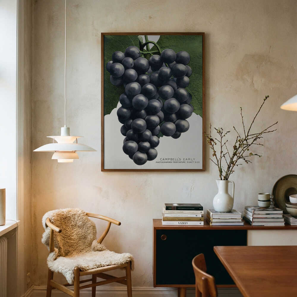 Campbell's Early Grape Lithograph Art Print UK — Botanical Vibrant Wall Art — Kitchen — Wall It All Prints