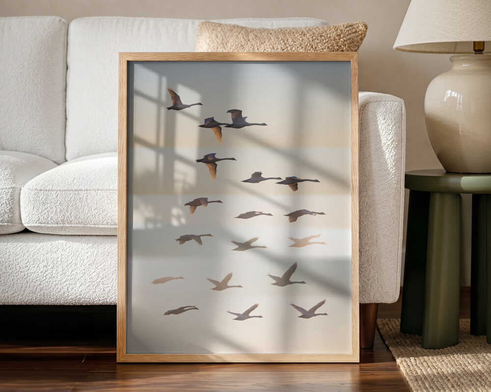 Swans in Golden Light Art Print UK — Landscape Calm Wall Art — Living Room — Wall It All Prints