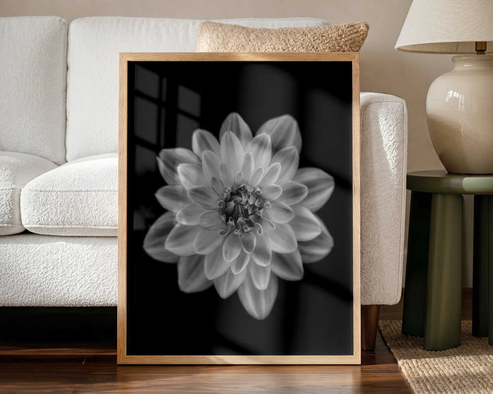 Delicate Monochrome Dahlia Art Print UK — Botanical Calm Wall Art — Office — Wall It All Prints