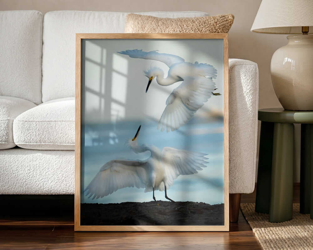 Egrets in Flight Art Print UK — Landscape Elegant Wall Art — Living Room — Wall It All Prints