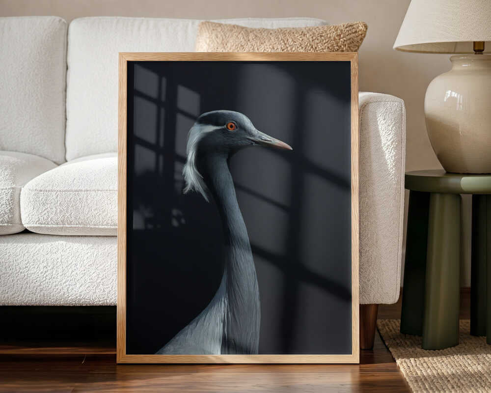 Demoiselle Crane Profile Art Print UK — Abstract Dark Wall Art — Office — Wall It All Prints