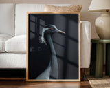 Demoiselle Crane Profile Art Print UK — Abstract Dark Wall Art — Office — Wall It All Prints