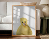 Cute Yellow Chick