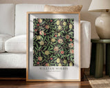 Fruit Pattern