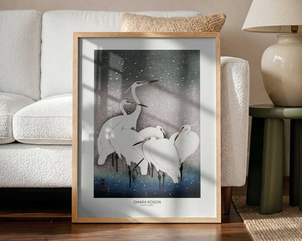 Group Of Egrets