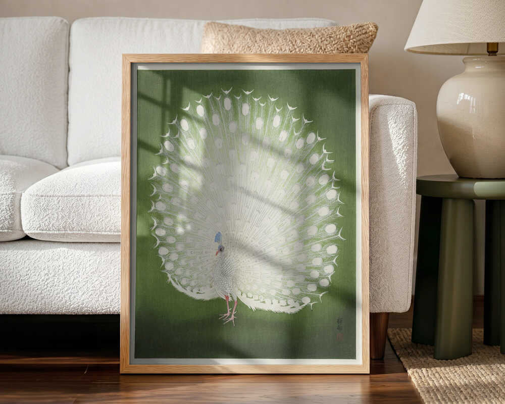 Peacock