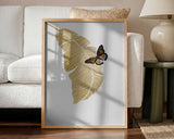 Golden Leaf Butterfly