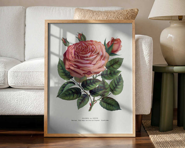 Pink Rose, Glorie De Dijon Lithograph Art Print UK — Botanical Fresh Wall Art — Living Room — Wall It All Prints