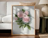 Pink Rose, Clothilde Soupert Lithograph