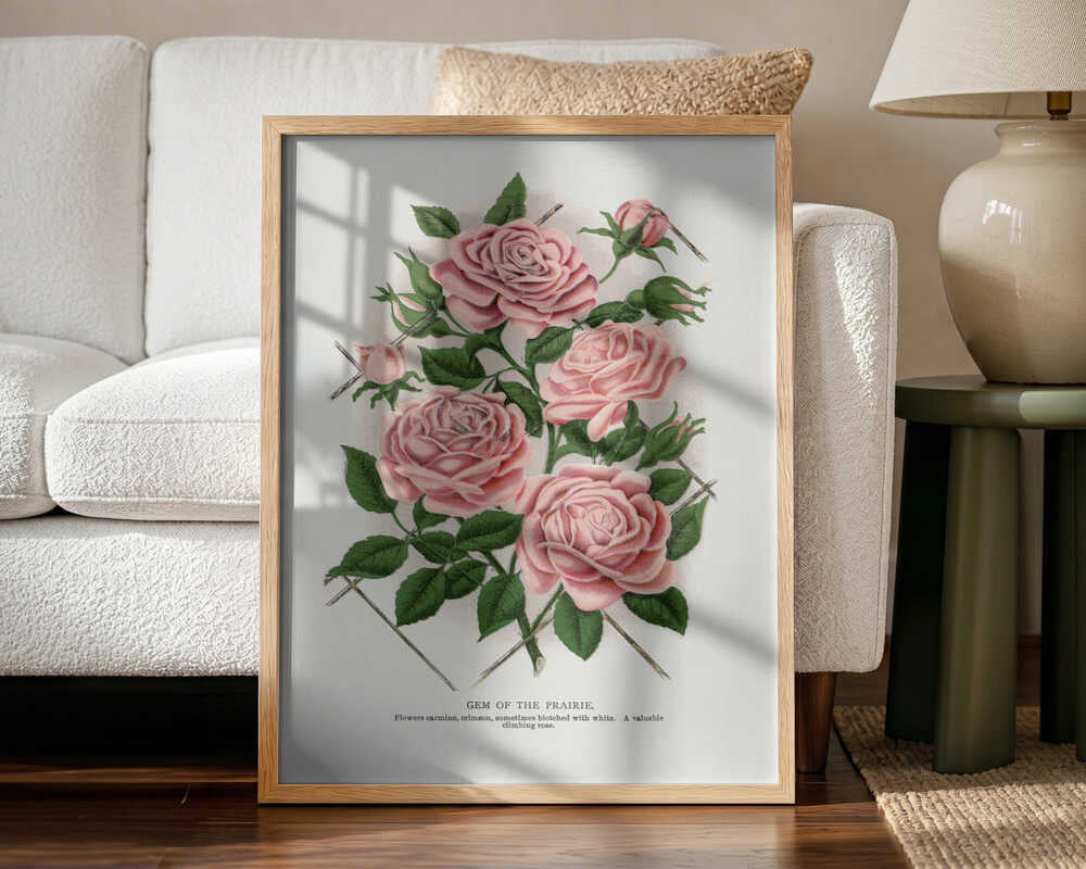 Pink Rose, Gem of the Prairie Lithograph Art Print UK — Botanical Vibrant Wall Art — Living Room — Wall It All Prints