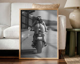 Freedom Rider James Graf