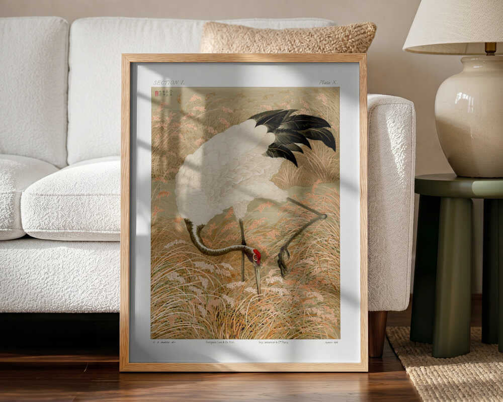 Sarus Crane In Rice Field