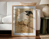 Sarus Crane In Rice Field