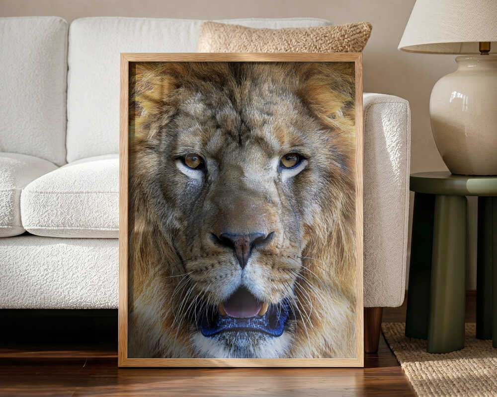 Majestic Lion Gaze Art Print UK — Portrait Warm Wall Art — Living Room — Wall It All Prints