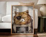 Funny Cat