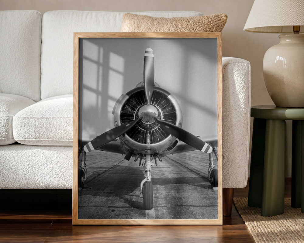 Polished Vintage Aircraft
