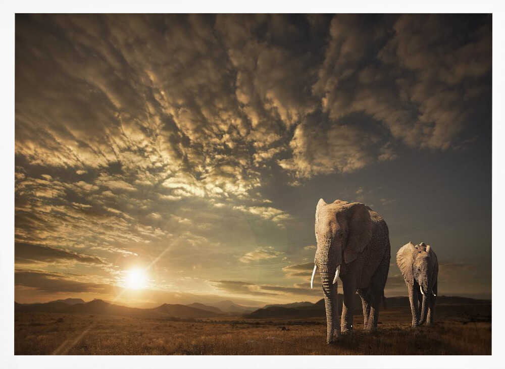 African Sunset Elephants Art Print UK — Landscape Calm Wall Art — Living Room — Wall It All Prints