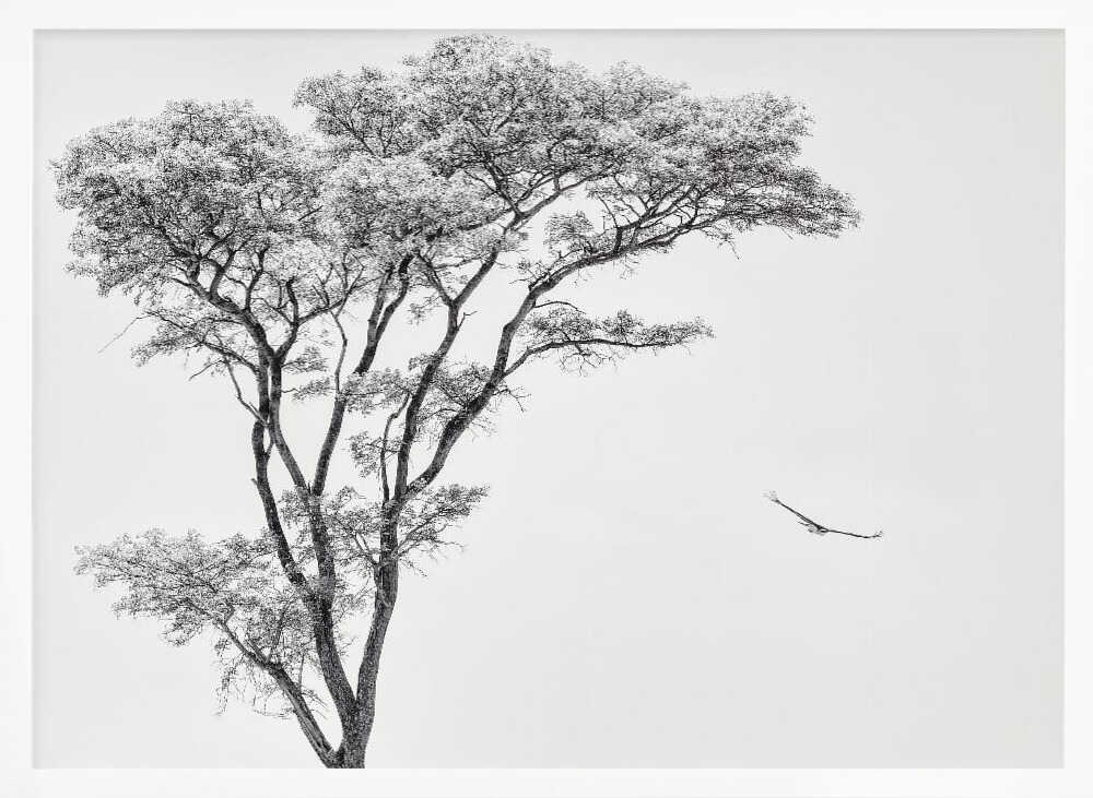 Tree and Bird Flight Art Print UK — Abstract Calm Wall Art — Bedroom — Wall It All Prints