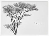 Tree and Bird Flight Art Print UK — Abstract Calm Wall Art — Bedroom — Wall It All Prints