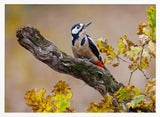Autumn Woodpecker Art Print UK — Landscape Dark Wall Art — Living Room — Wall It All Prints