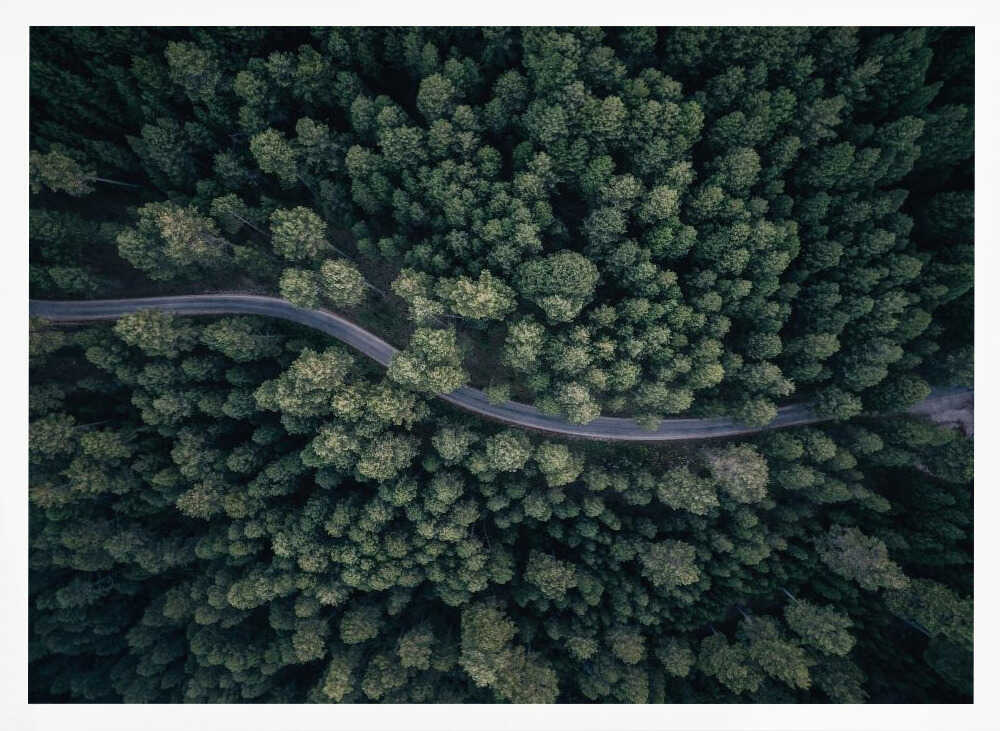 Winding Forest Road Art Print UK — Landscape Calm Wall Art — Living Room — Wall It All Prints