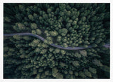 Winding Forest Road Art Print UK — Landscape Calm Wall Art — Living Room — Wall It All Prints