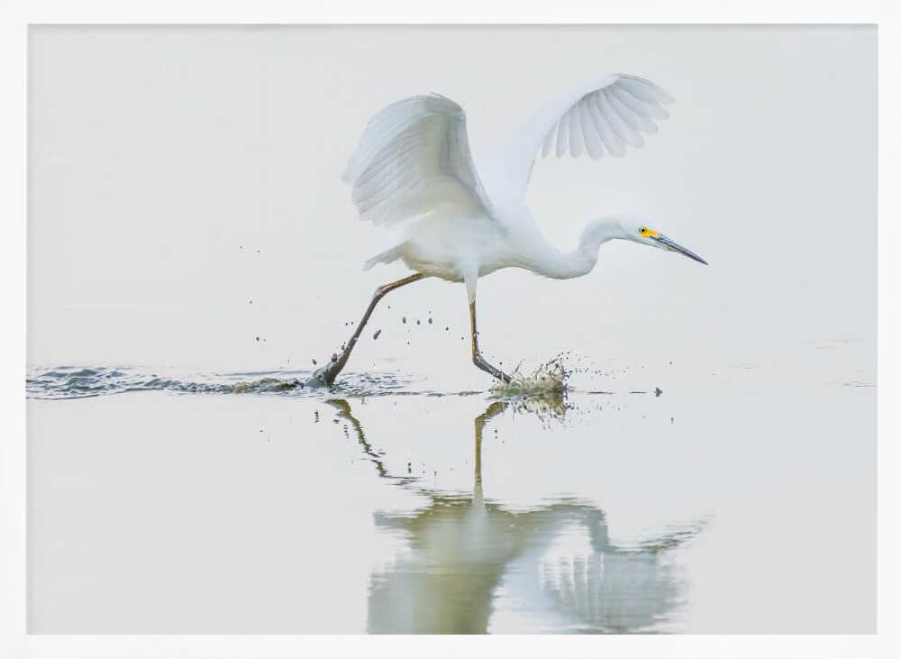 Egret Water Run Art Print UK — Abstract Vibrant Wall Art — Office — Wall It All Prints