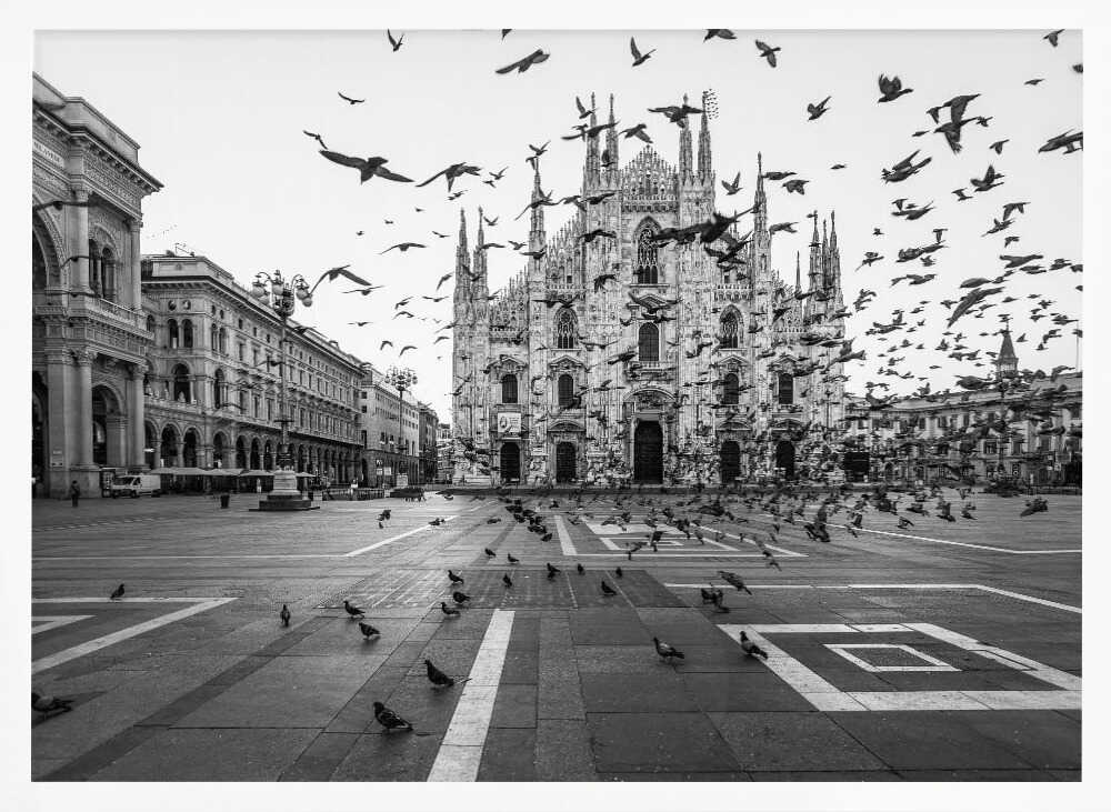 Piazza Duomo Pigeons Art Print UK — Dark Moody Dark Wall Art — Living Room — Wall It All Prints
