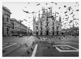 Piazza Duomo Pigeons Art Print UK — Dark Moody Dark Wall Art — Living Room — Wall It All Prints