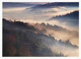 Misty Mountain Serenity