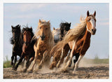 Wild Horses Run Free Art Print UK — Animal Vibrant Wall Art — Living Room — Wall It All Prints