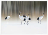 Graceful Cranes in Snow Art Print UK — Japanese Calm Wall Art — Living Room — Wall It All Prints