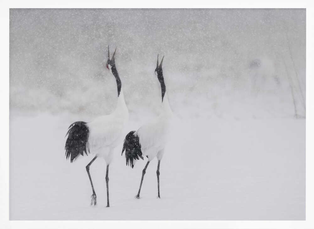 Calling Cranes in Snow Art Print UK — Japanese Dark Wall Art — Living Room — Wall It All Prints