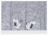 Snowy Crane Dance Art Print UK — Landscape Calm Wall Art — Living Room — Wall It All Prints