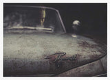 Reflected Gaze Car Hood Art Print UK — Dark Moody Dark Wall Art — Living Room — Wall It All Prints