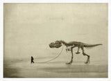 the walk