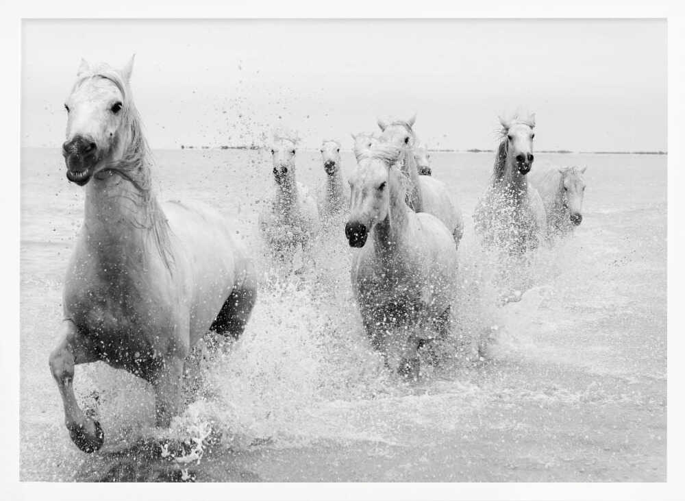 Wild White Horses Running Art Print UK — Landscape Dark Wall Art — Living Room — Wall It All Prints