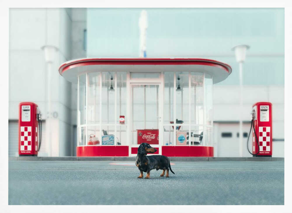 Retro Gas Station Dog Art Print UK — Vintage Vibrant Wall Art — Living Room — Wall It All Prints