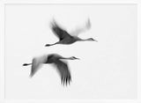 Cranes in Motion Art Print UK — Abstract Dark Wall Art — Living Room — Wall It All Prints
